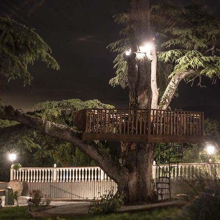 Villa D'Arte Agri Resort Pontassieve Luaran gambar